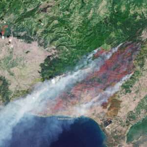 The world is on fire: Wildfires rage in Greece