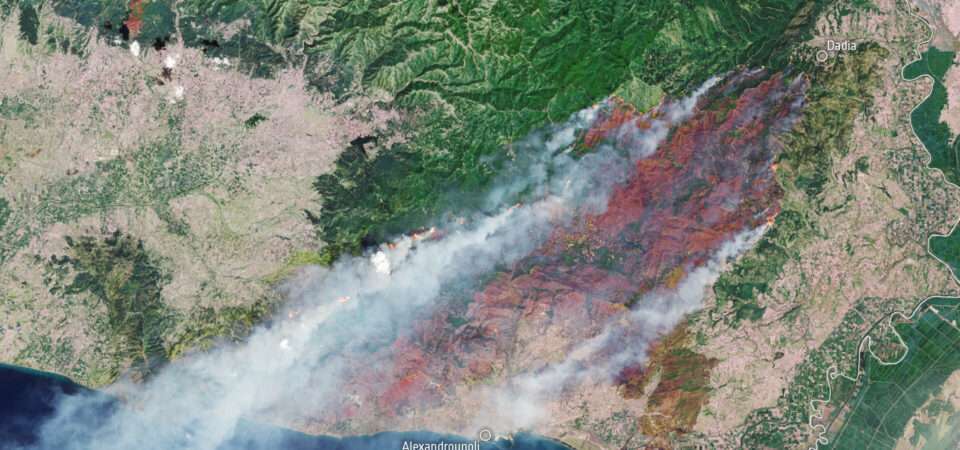 The world is on fire: Wildfires rage in Greece